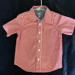 4T Short Sleeve Button Down Red Gingham